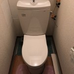 IMG_8279